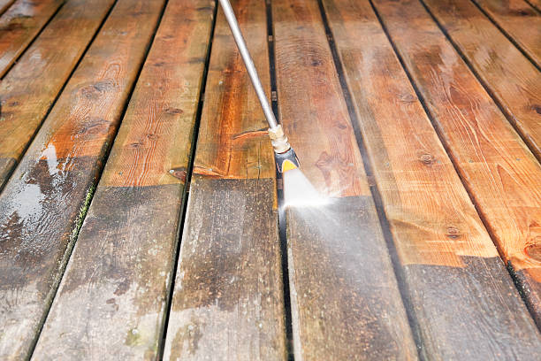 Best Sidewalk and Walkway Cleaning  in Marlinton, WV